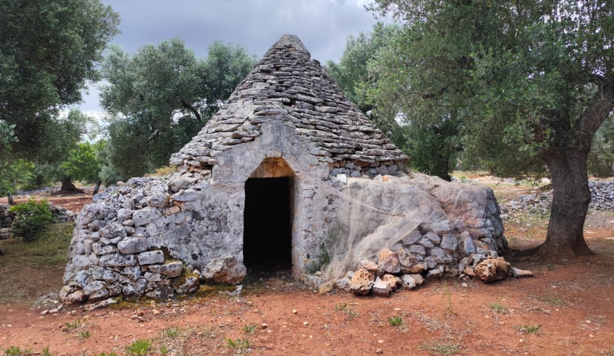 0738 terreno edificabile uliveto in vendita (24)
