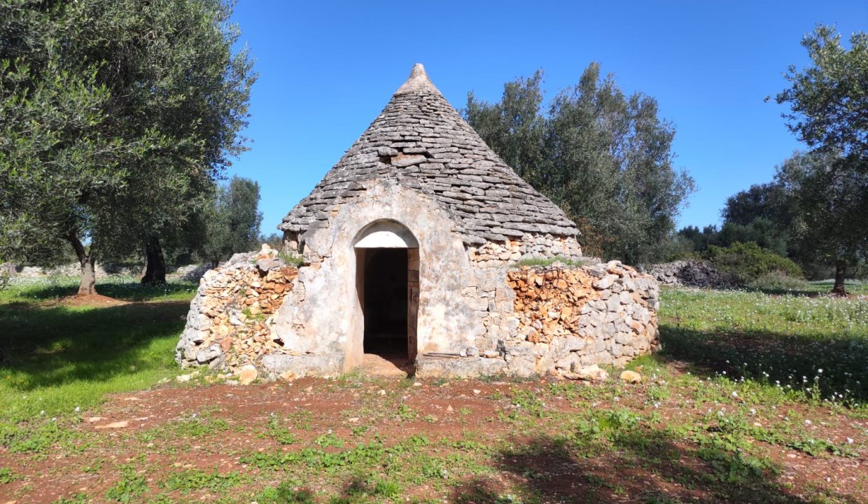 0791 trullo terreno edificabile in vendita (1)