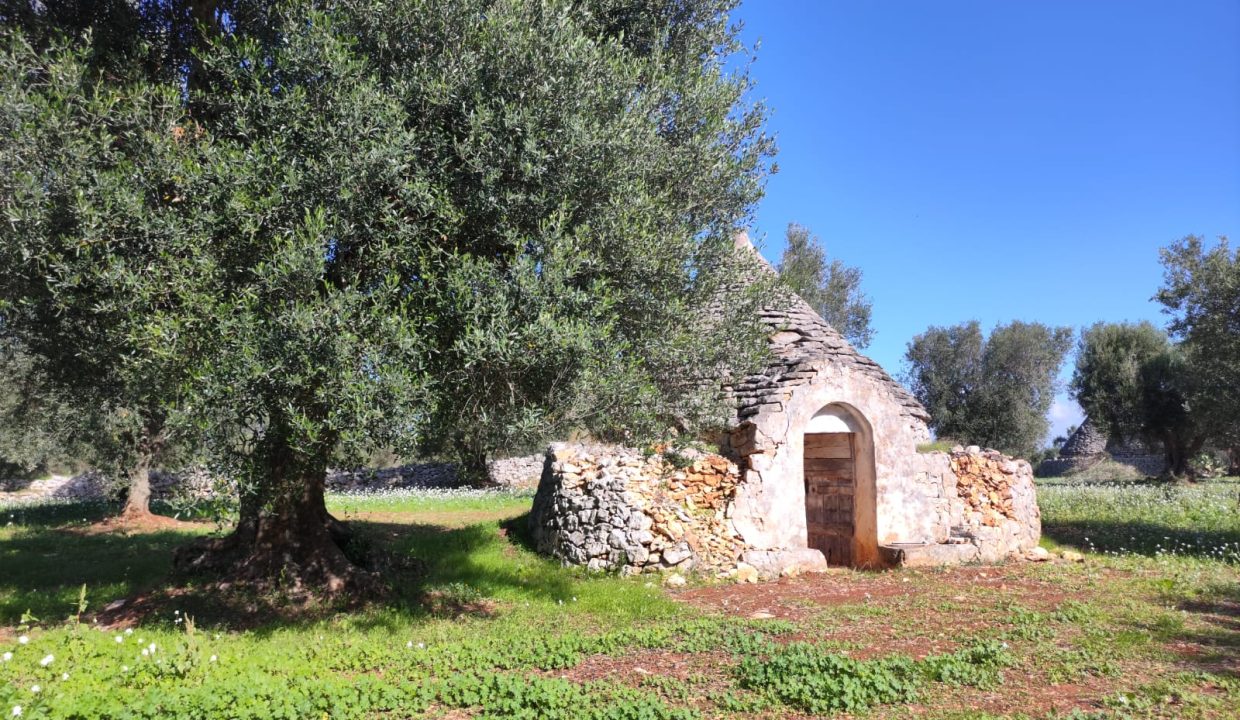 0791 trullo terreno edificabile in vendita (2)