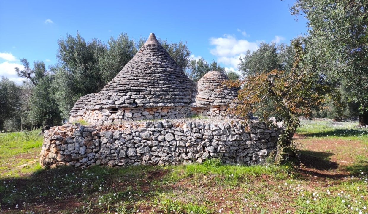0791 trullo terreno edificabile in vendita (8)